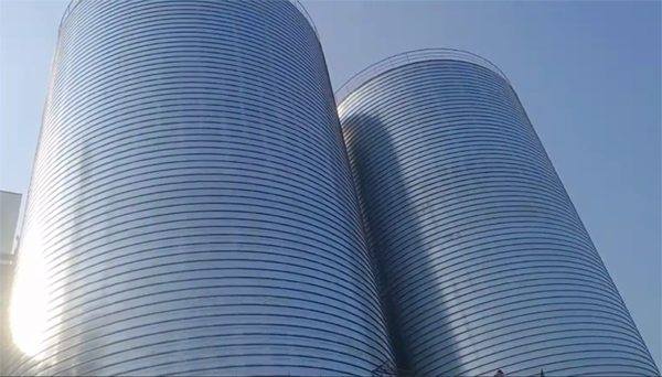 台江2座混凝土高架卷板仓